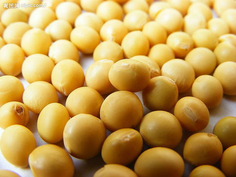 黄豆的8种保健养生功效