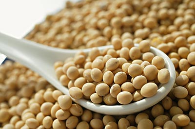 大豆--避免饥荒的重要武器