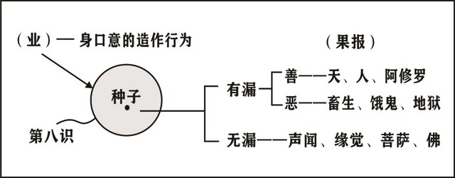 編ʦΨʶѧҪ