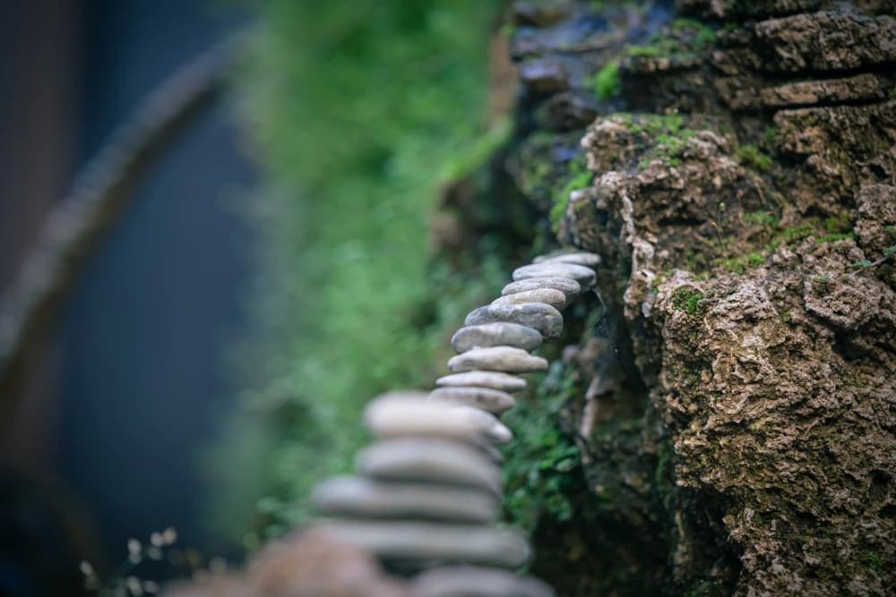 �õߴ�ʦ��ĩ����