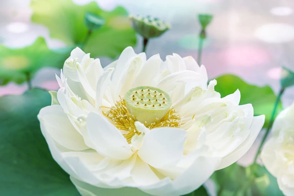 �޵�Ҫ���������ģ�ҲҪ��ֹ������