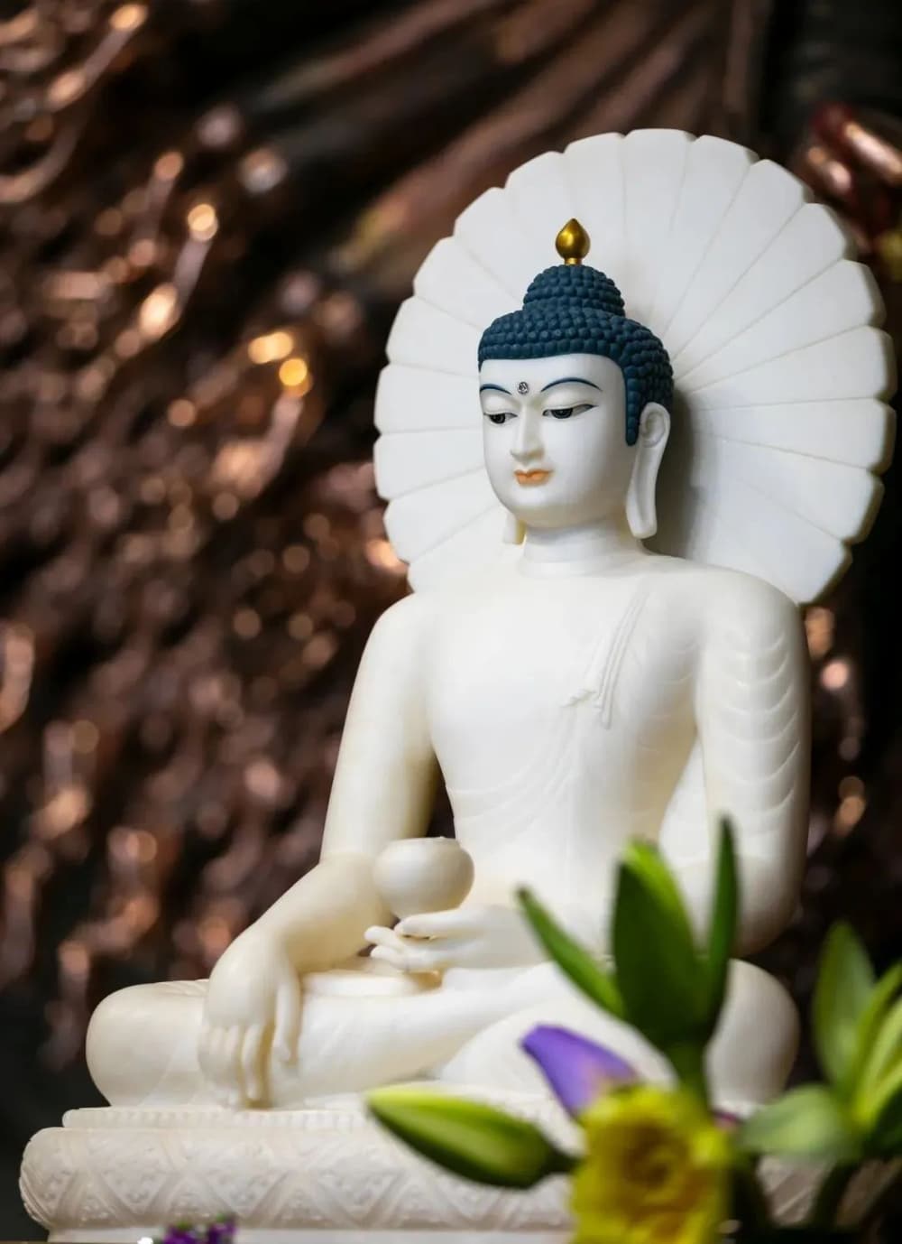 ��ֻ�Ǵ�һ����ʱ�Ĳ��˶���