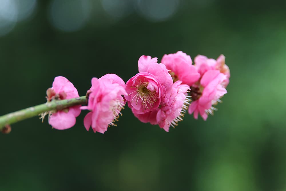 ��ִ���࣬��������