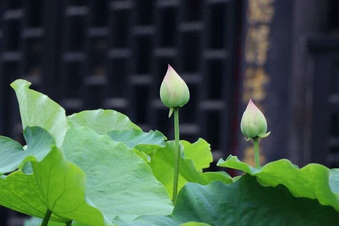 ����һ��ǰ��ʲô���ն�û����