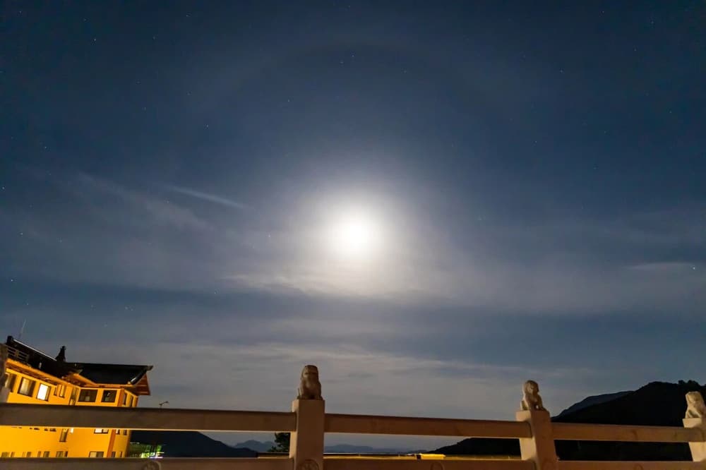 ����֮���ԷǼ������£����ܸ�Ӧ����