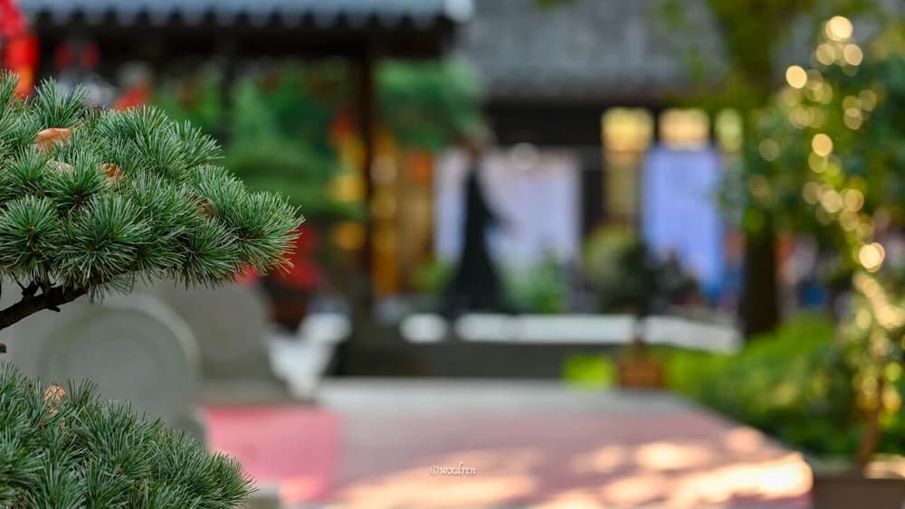 瞋心的原因、危害,与化解方法