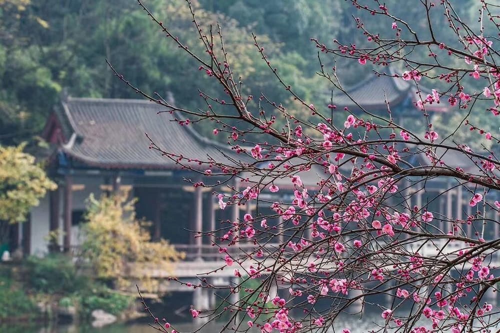 ���ȵ���ѧ�������ص�