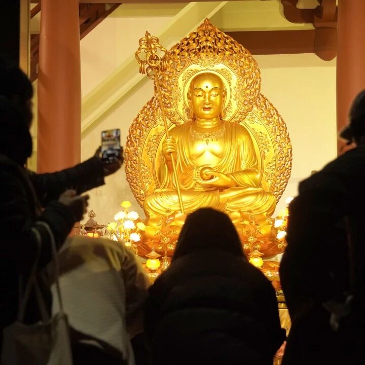 万佛联手设局,只为度我