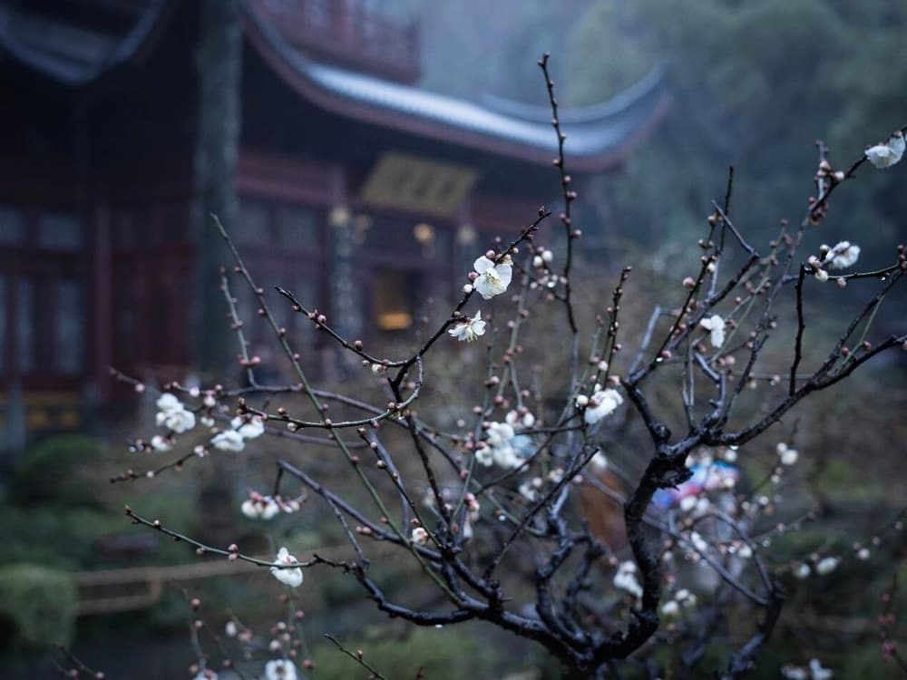 �������������ԩ�ң����ճ�ܣ���ɹ���