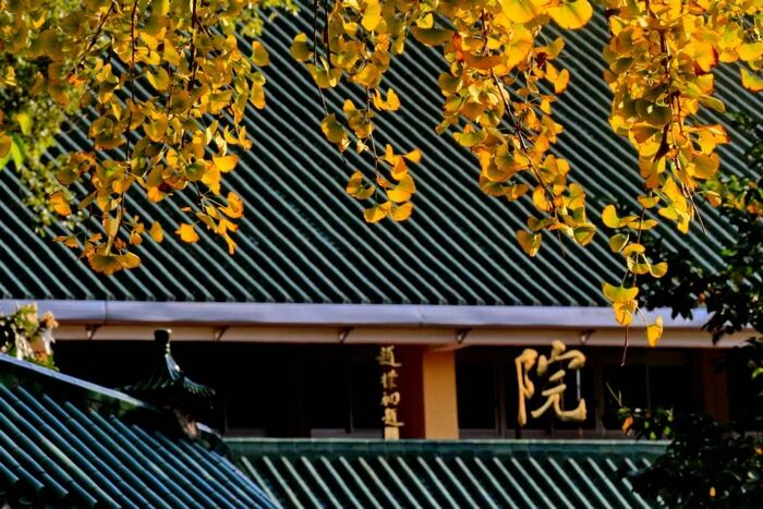 ֹ�Ĺ�ͷ���޲�����