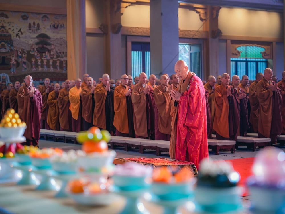 Ȱ������Ķ�����