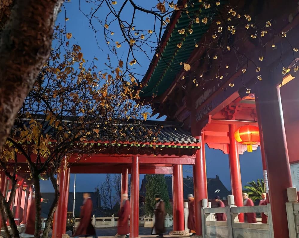 就算修不了禅,你也要学会慢下来