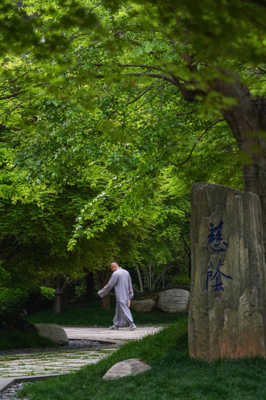 �޹۵������ص㡪���۲졢ʤ�⡢��������