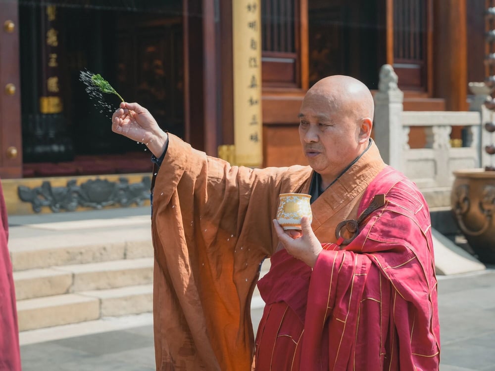 面对跳蚤、疟蚊、蟑螂等,如何才能不犯杀戒