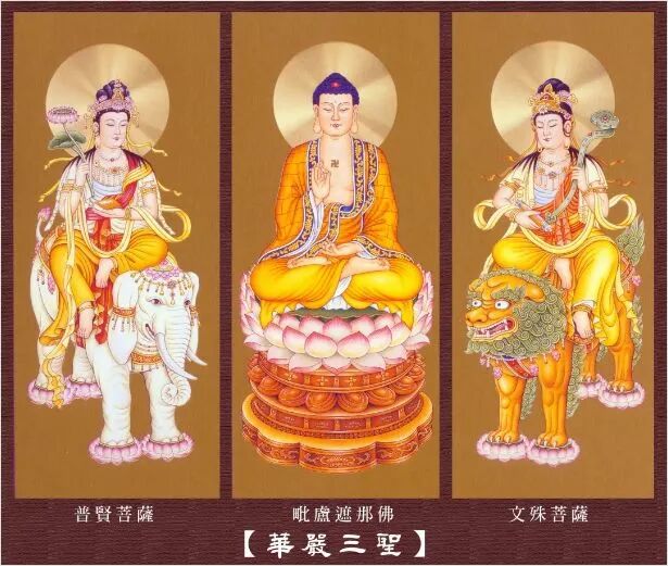 身是无常,幻缘虚假