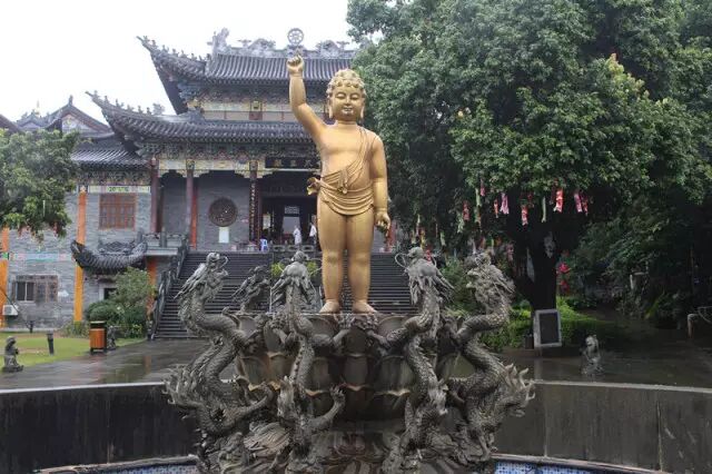 祝寿却肇病,杀生招余殃