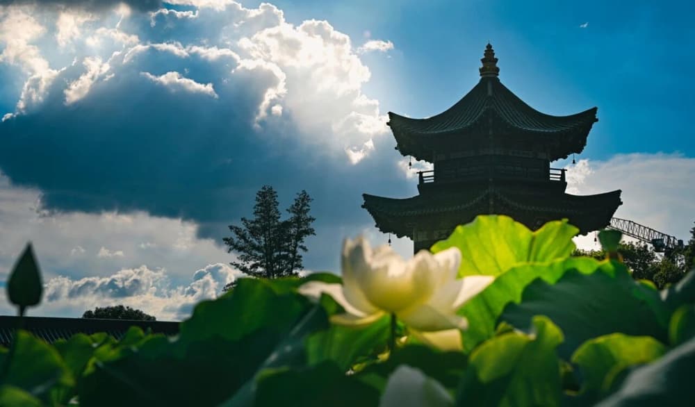 悟达国师受果报的公案